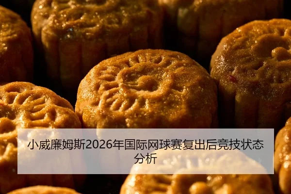 小威廉姆斯2026年国际网球赛复出后竞技状态分析