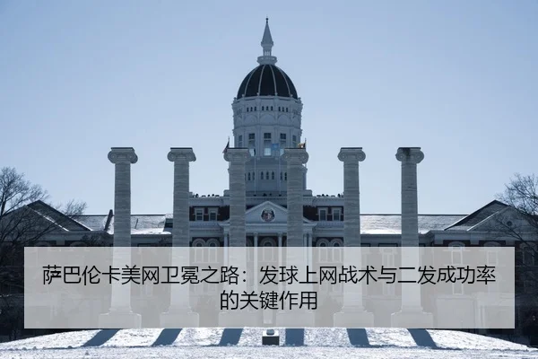sa-ba-lun-ka-mei-wang-wei-mian-zhi-lu-fa-qiu-shang-wang-zhan-shu-yu-er-fa-cheng-gong-lv-de-guan-jian-zuo-yong-2-179.jpg