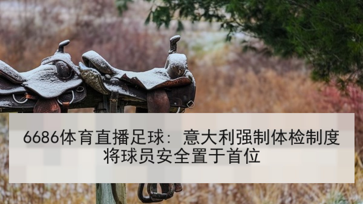 6686体育直播足球: 意大利强制体检制度将球员安全置于首位