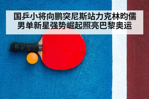 table tennis racket and ball