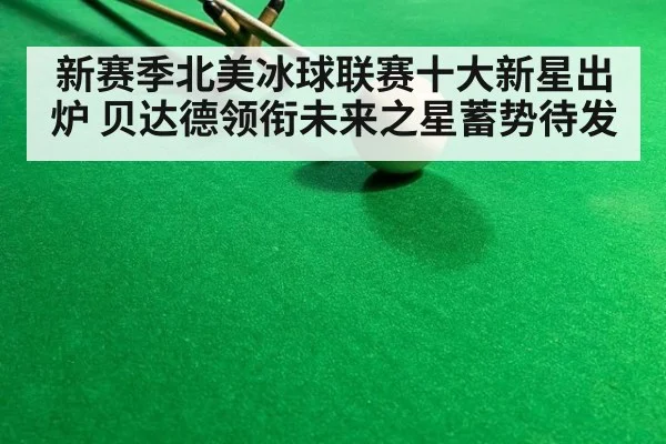 新赛季北美冰球联赛十大新星出炉 贝达德领衔未来之星蓄势待发